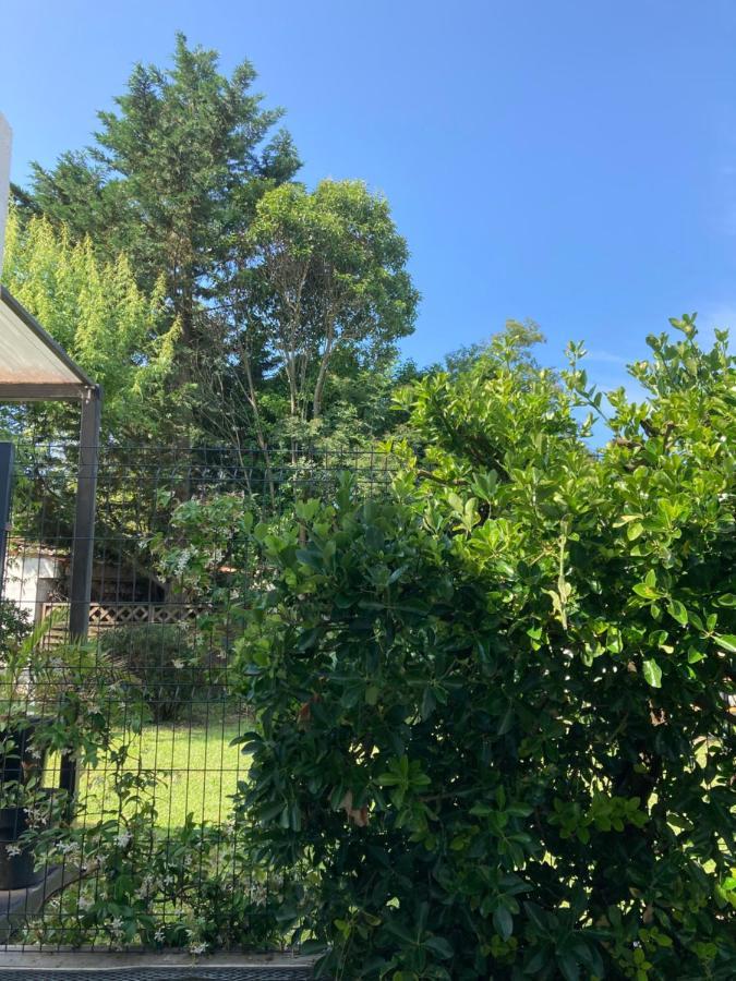 Cozy Oasis: Quiet 2-Room Apartment with Terrace and Free Parking Toulouse Exterior photo